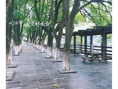 -白马涧龙池景区
