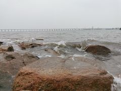 -宝安西湾红树林湿地公园