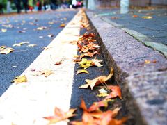 -银吉姆健身(景城邻里中心馆)