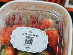 -果松木炭酸菜铜火锅·外婆参鸡汤