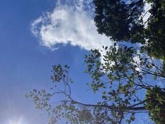 -增城大丰门漂流