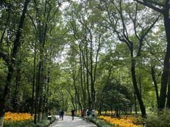 -杭州植物园