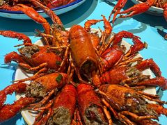 -川正旺江湖菜(三元桥店)
