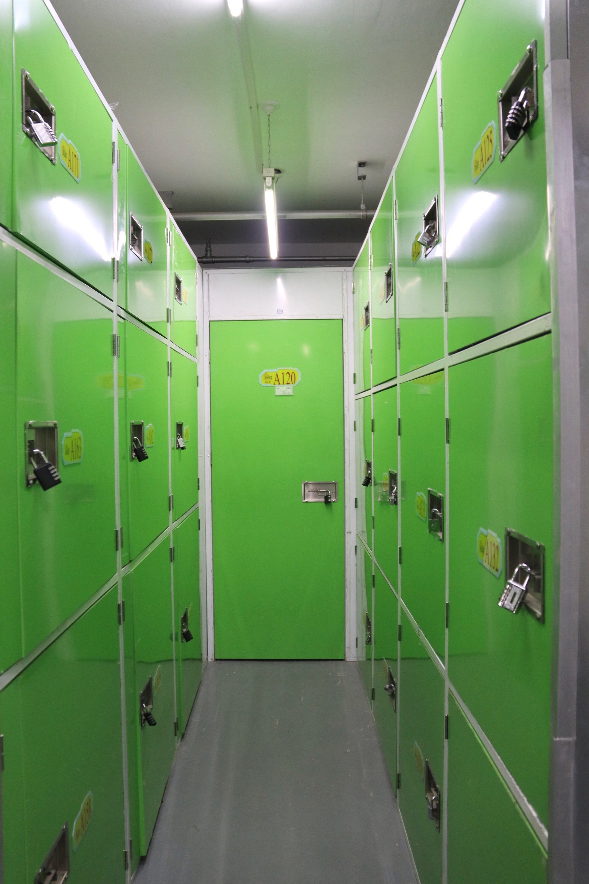 bt仓库，中国种子批发网