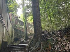 -西湖风景区十里琅珰-五云山