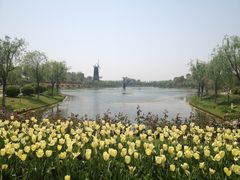 -上海鲜花港
