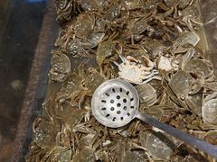 -海天一色海景自助餐厅(西港花园店)