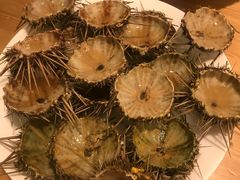 -海胆小馆(东北水饺·春柳店)