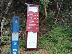 -广州白江湖森林公园