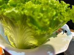 -杨记齐齐哈尔烤肉(逸仙路店)