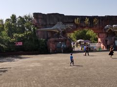 -上海海湾国家森林公园