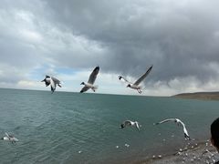 -青海湖国家重点风景名胜区
