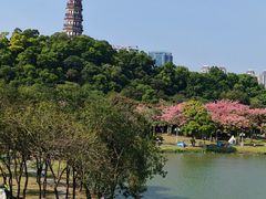 -顺峰山公园