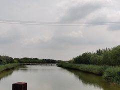 -西青郊野公园