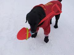 -太子岭滑雪场