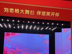 -刘老根大舞台-长春旗舰店