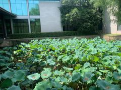 -绍兴鉴湖君澜大酒店