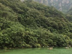 -云台山风景名胜区