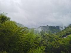 -宁海安岚·南溪阁全日餐厅