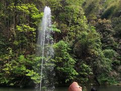 -江西阳明山国家森林公园