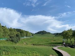-关山草原