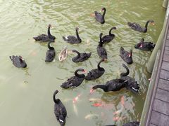 -艾溪湖湿地公园