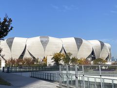 -杭州奥体中心-体育场