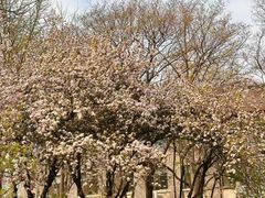 -山东大学(洪家楼校区)