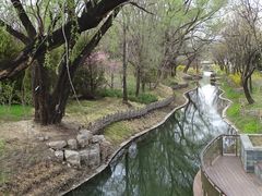 -北坞公园