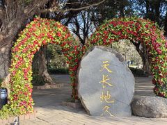 -大梅沙海滨公园