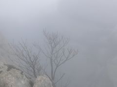 -崂山巨峰游览区
