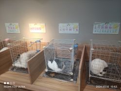-Moni星球萌宠·小马宝莉·灵蛇·高端高阶全萌宠互动体验俱乐部(红豆国际广场店)