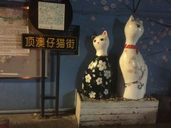 -猫咪博物馆(顶澳仔猫街店)