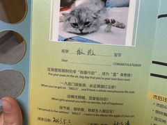 -艾贝尔宠物医院·24H转诊中心·肿瘤猫专科(江宁双龙店)
