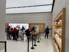 -Apple零售店(济南恒隆广场店)