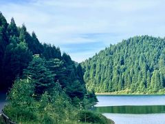 -武陵山森林公园