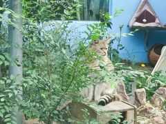 -青藏高原野生动物园