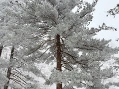 -洛阳白云山景区