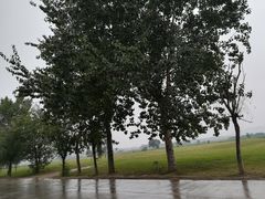 -汉长安城未央宫国家考古遗址公园