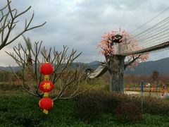 -天适樱花悠乐园