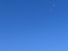 -春花秋色城市公园