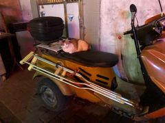 -同顺鹅庄(南华路店)