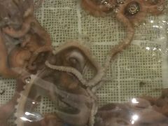 -白金汉爵大酒店(相城店)