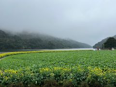 -广州市石门国家森林公园