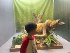 -武汉园博园(武汉自然博物馆)