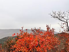-香山公园