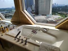 -新加坡丽思卡尔顿美年酒店