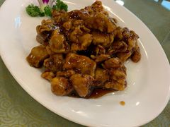 -张一品食府