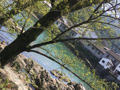-鹿亭中村