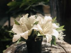 -Arunda oriental massage